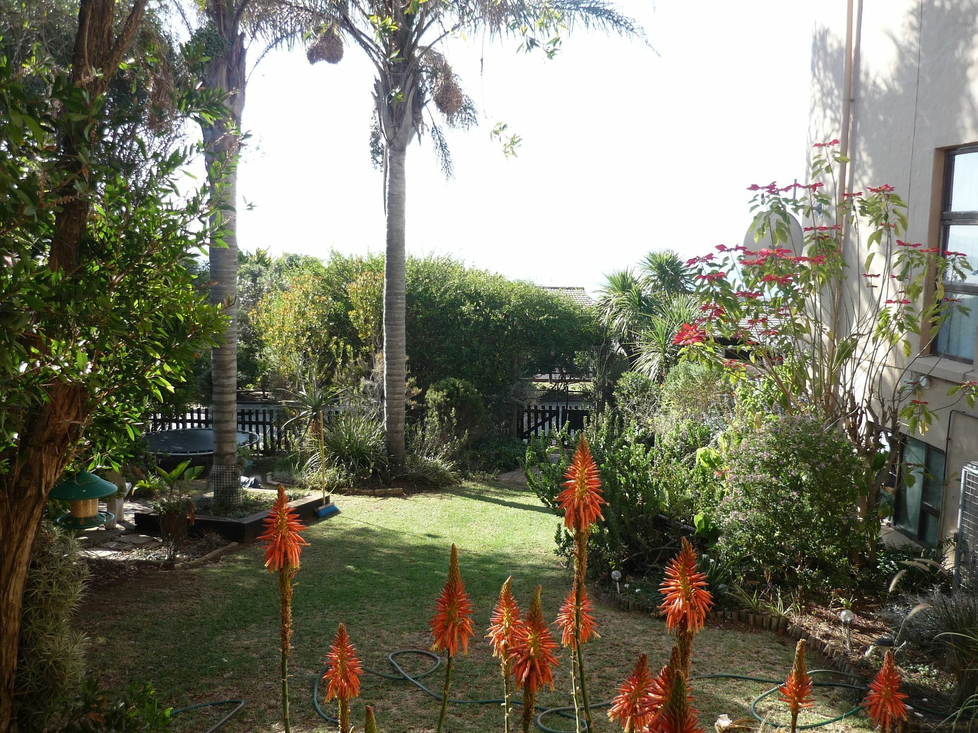 A1 Kynaston Self Catering Or Bed And Breakfast Jeffreys Bay Εξωτερικό φωτογραφία
